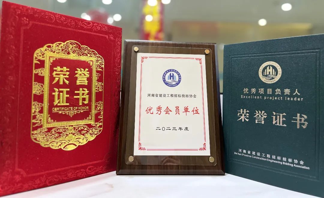 喜報丨飛洋咨詢榮獲“2023年度優(yōu)秀會員單位”、“2023年度優(yōu)秀項目負(fù)責(zé)人”等榮譽(yù)稱號